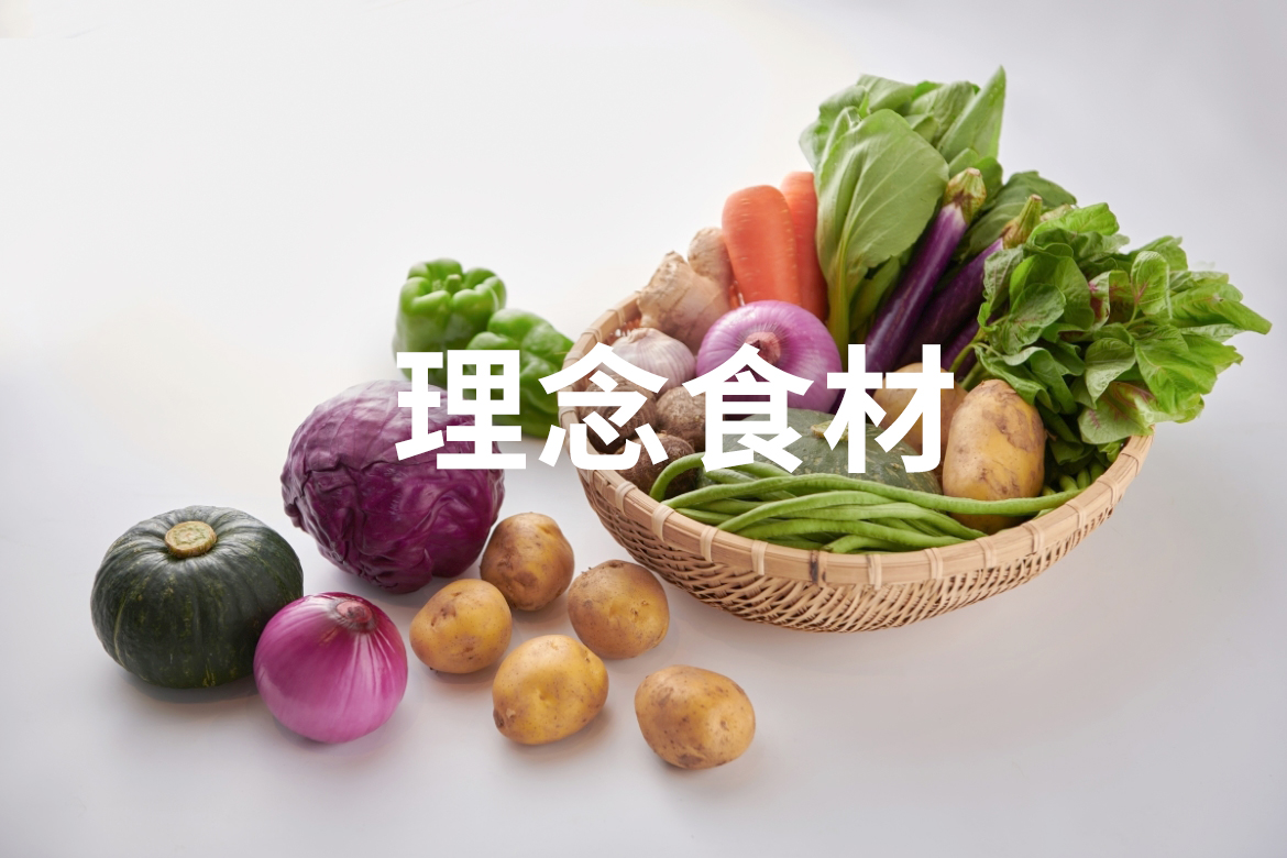 ����ɭ������ballbet