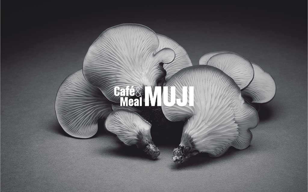 ����ɭ������ballbet