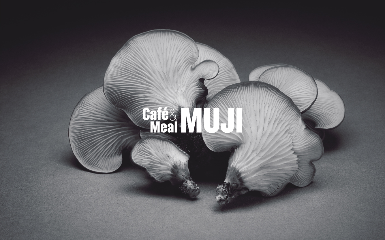 ����ɭ������ballbet