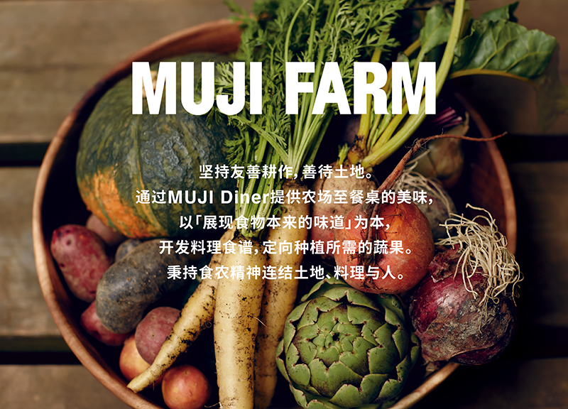 ����ɭ������ballbet