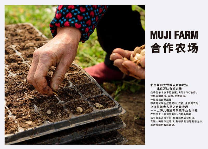 ����ɭ������ballbet