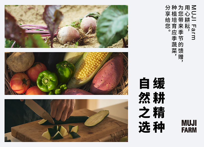 ����ɭ������ballbet