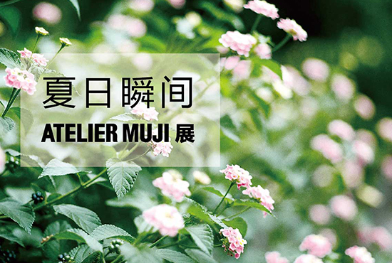 ����ɭ������ballbet