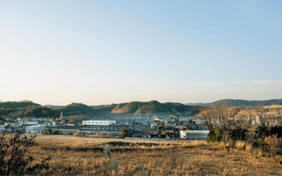 ����ɭ������ballbet