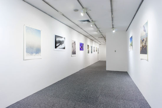 ����ɭ������ballbet