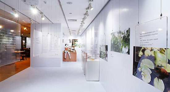 ����ɭ������ballbet