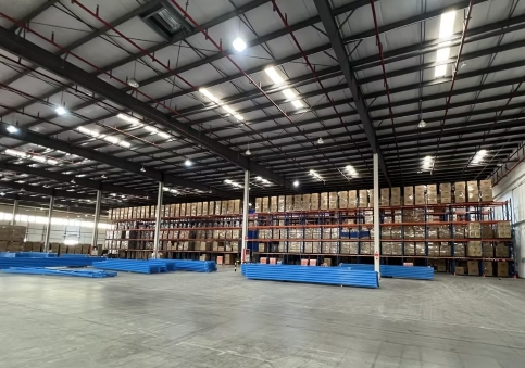 ����ɭ������ballbet