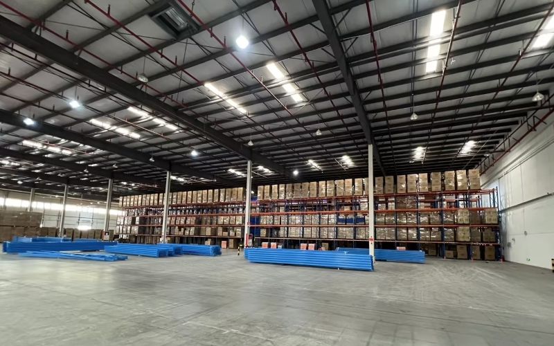 ����ɭ������ballbet