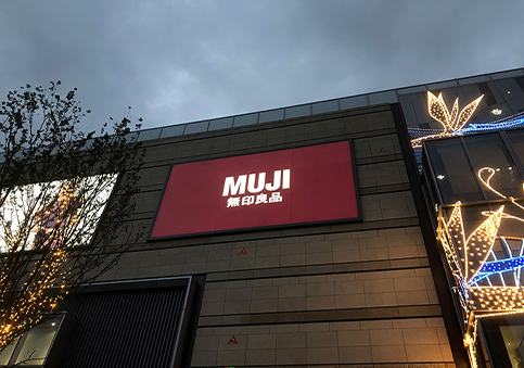 ����ɭ������ballbet