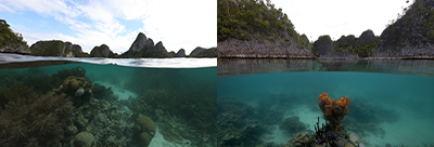 ����ɭ������ballbet