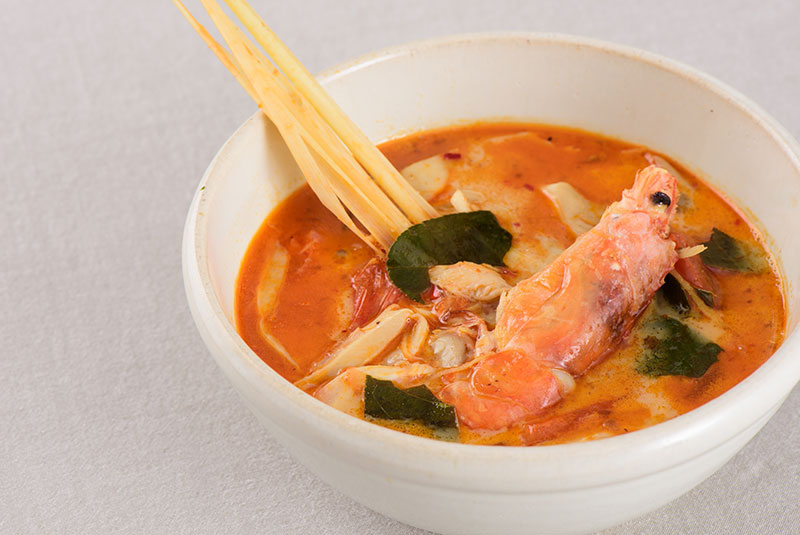 ����ɭ������ballbet