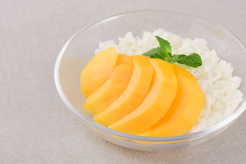 ����ɭ������ballbet