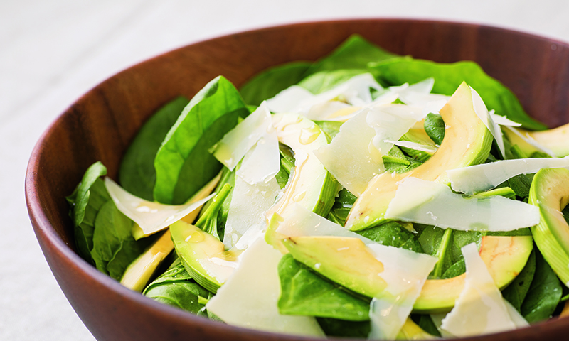 ����ɭ������ballbet