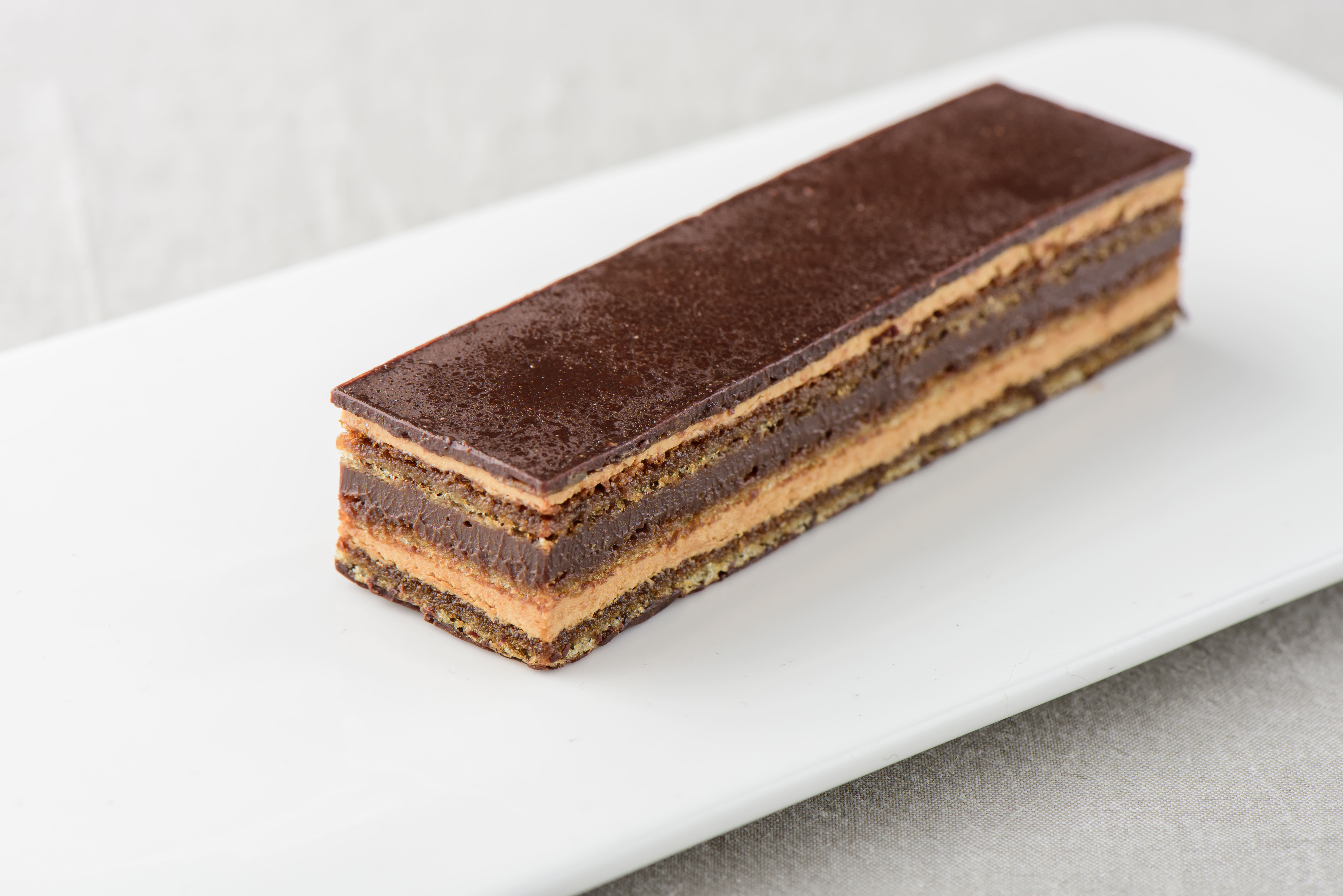 ����ɭ������ballbet