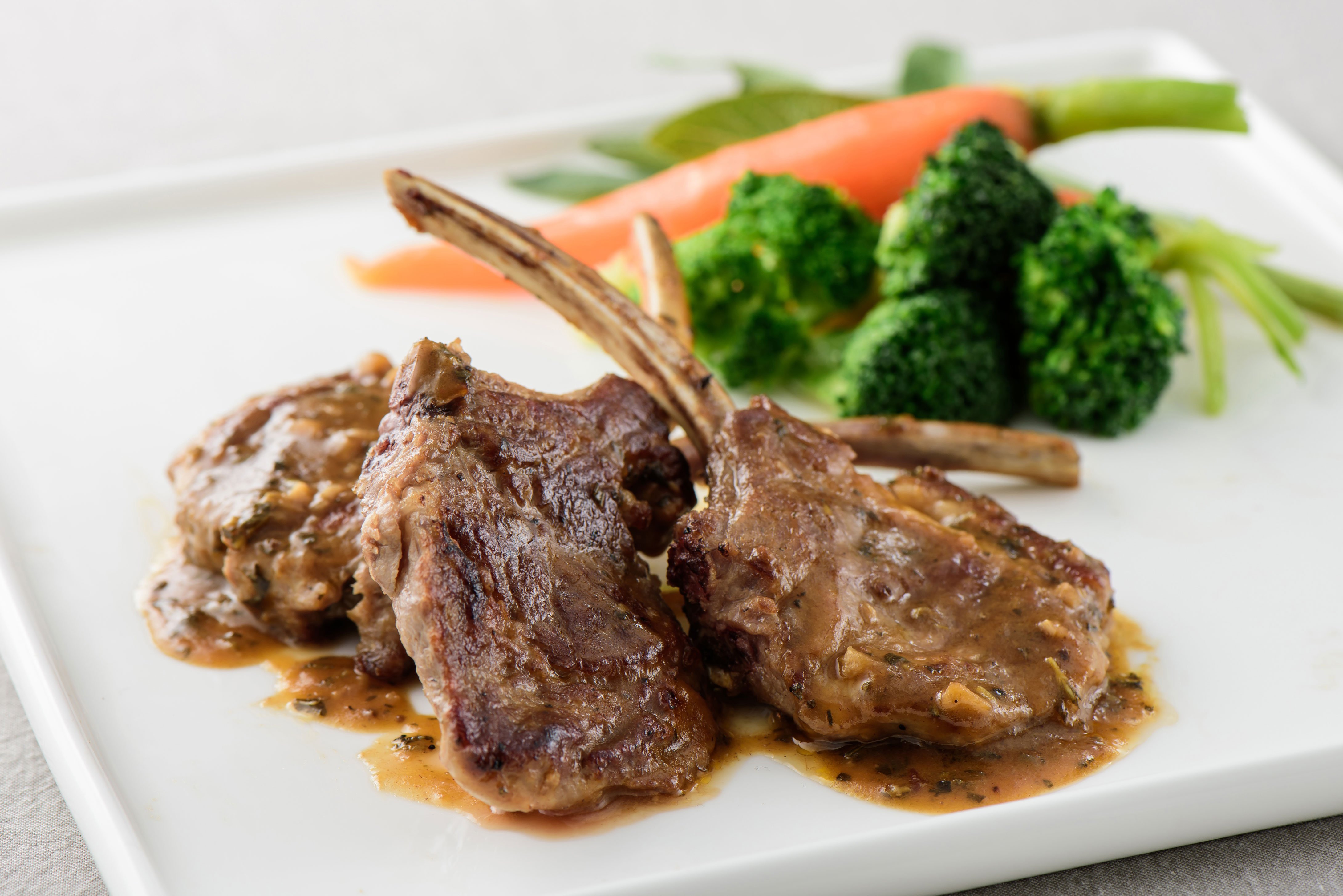 ����ɭ������ballbet