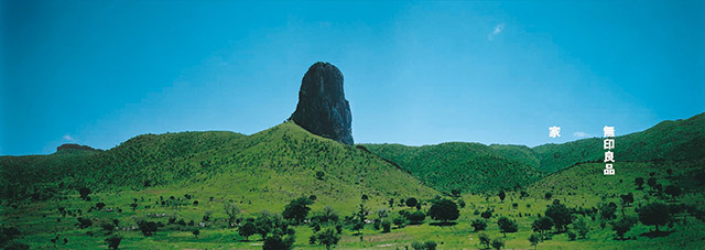 ����ɭ������ballbet