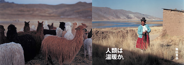 ����ɭ������ballbet