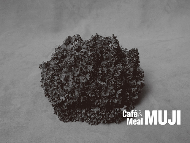 ����ɭ������ballbet