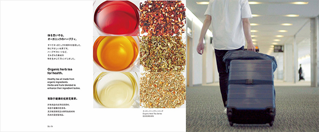 ����ɭ������ballbet