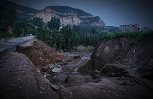 ����ɭ������ballbet