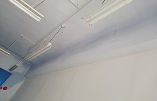 ����ɭ������ballbet