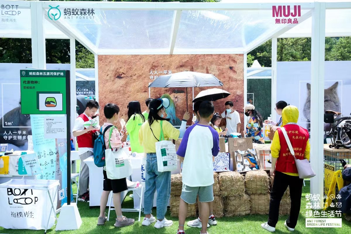 ����ɭ������ballbet