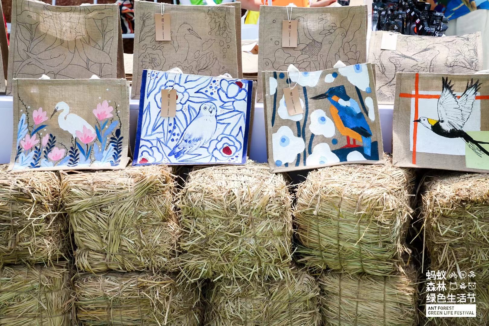 ����ɭ������ballbet