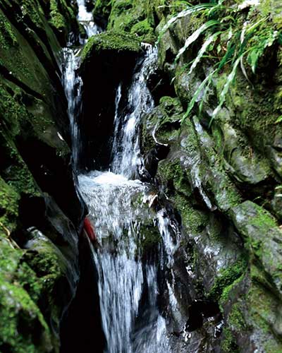 �oӡ��ƷɽȪˮ�������������п�һ������