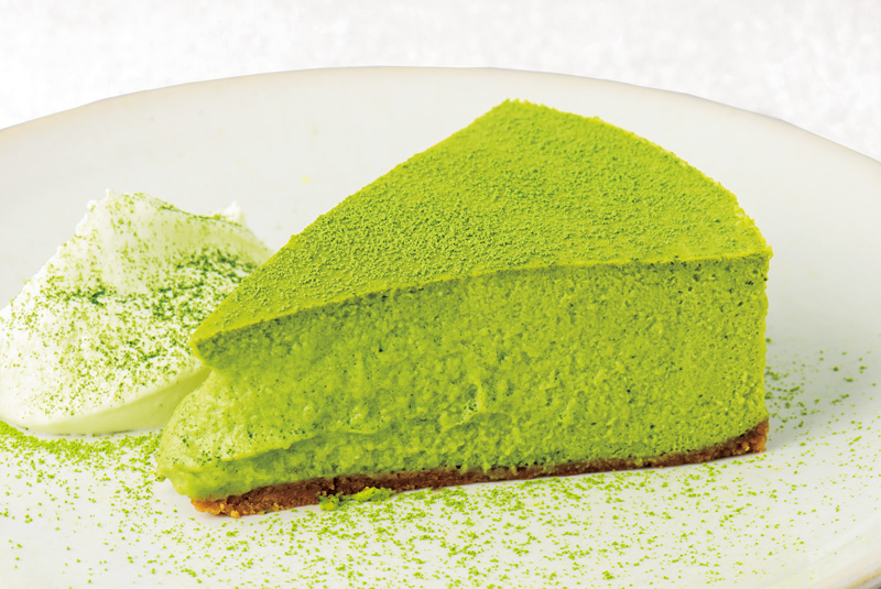 ����ɭ������ballbet