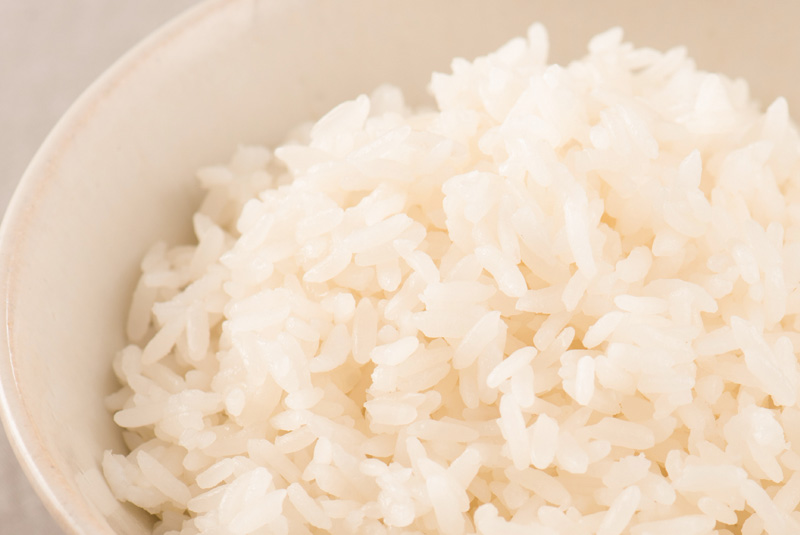 ����ɭ������ballbet