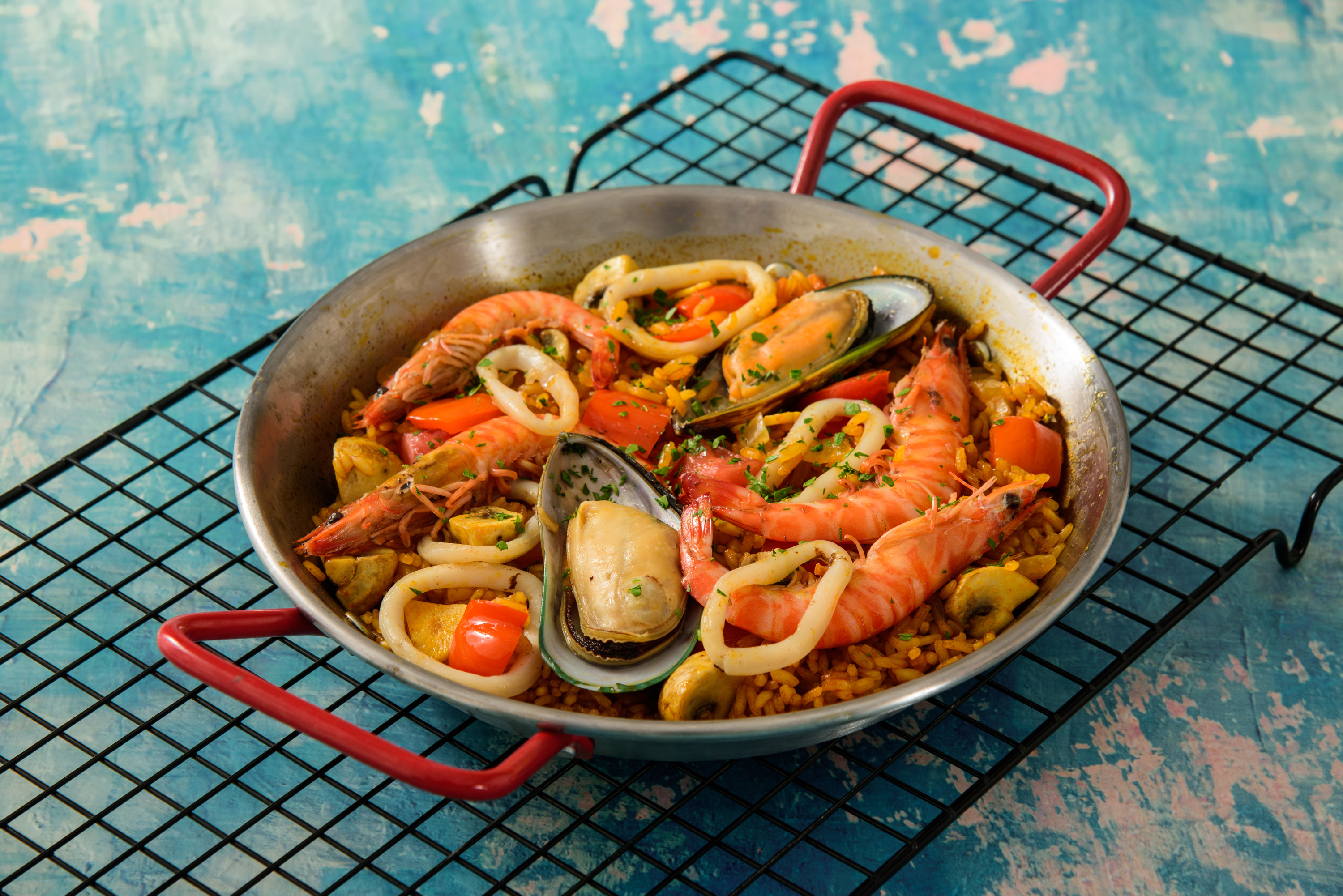 ����ɭ������ballbet